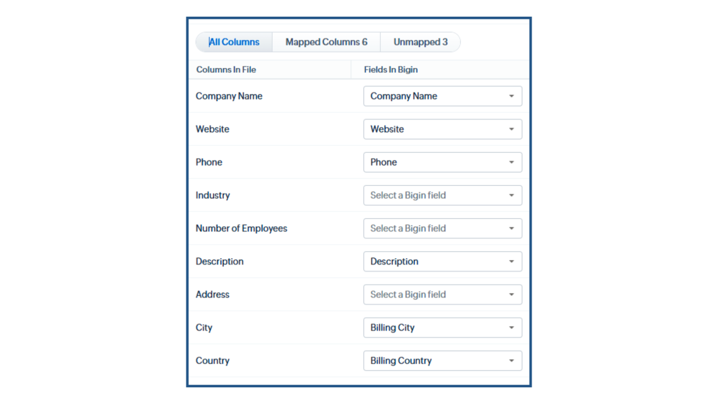 How to Import Data from Excel into Bigin - Match columns to fields